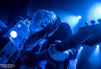 Alpha Wolf - Photo By Marc