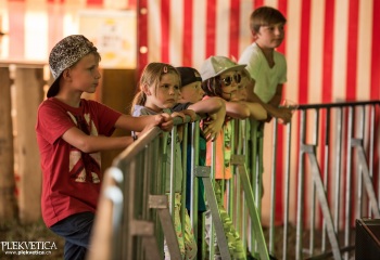 Calua - Photo By Dänu