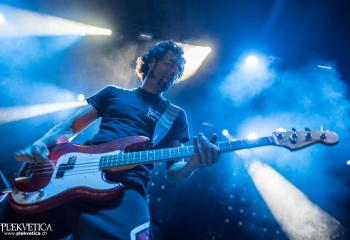 CardiaC - Photo By Marc