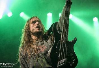 Carnation - Photo By Dänu