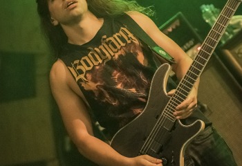 Carnation - Photo By Dänu