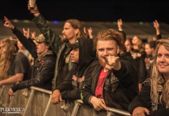 Carnation - Photo By Dänu