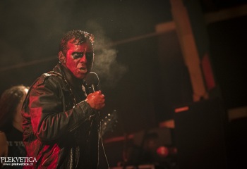 Carnation - Photo By Dänu