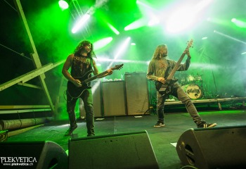 Carnation - Photo By Dänu