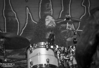 Carnation - Photo By Dänu