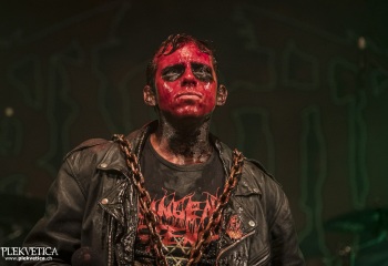 Carnation - Photo By Dänu