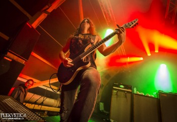 Carnation - Photo By Dänu