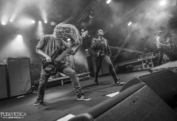 Carnation - Photo By Dänu