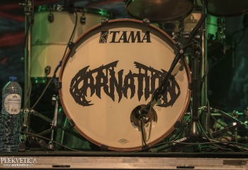 Carnation - Photo By Dänu