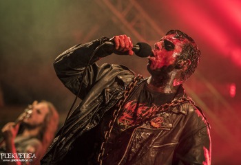 Carnation - Photo By Dänu