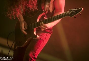 Carnation - Photo By Dänu