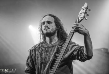 Carnation - Photo By Dänu