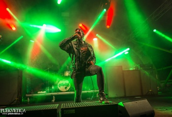 Carnation - Photo By Dänu