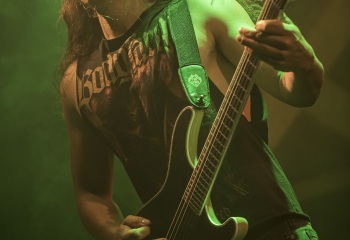 Carnation - Photo By Dänu