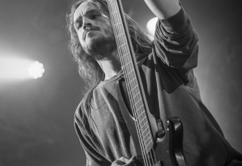 Carnation - Photo By Dänu