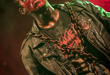 Carnation - Photo By Dänu