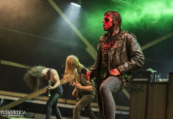 Carnation - Photo By Dänu