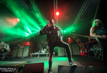 Carnation - Photo By Dänu