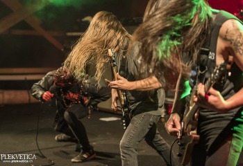 Carnation - Photo By Dänu