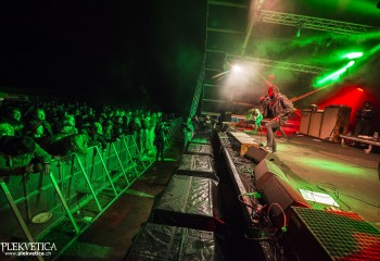 Carnation - Photo By Dänu