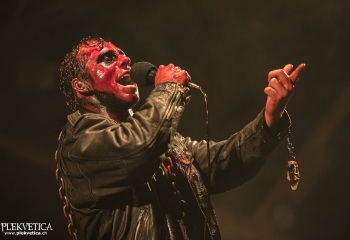 Carnation - Photo By Dänu