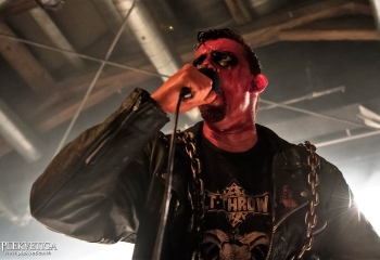 Carnation - Photo by Nati