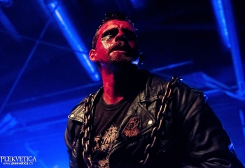 Carnation - Photo by Nati