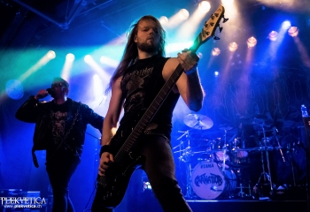 Carnation - Photo by Nati