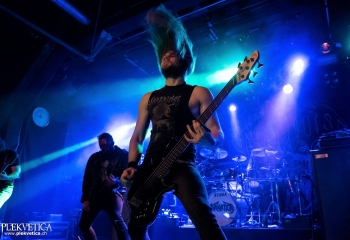 Carnation - Photo by Nati