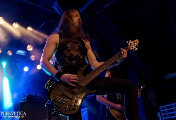 Carnation - Photo by Nati