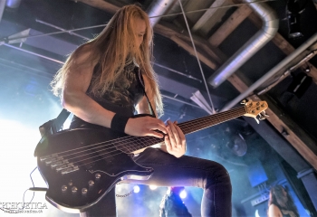 Carnation - Photo by Nati