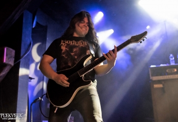 Carnation - Photo by Nati