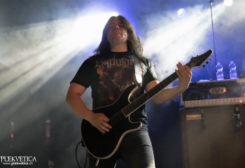 Carnation - Photo by Nati