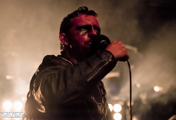 Carnation - Photo by Nati