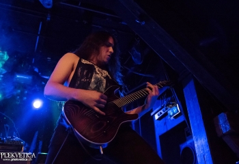 Carnation - Photo by Nati