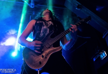 Carnation - Photo by Nati