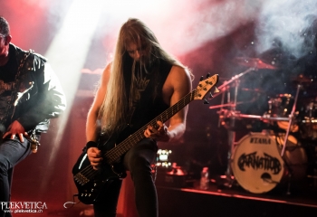 Carnation - Photo by Nati