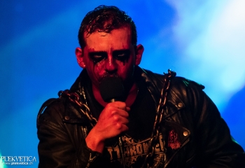 Carnation - Photo by Nati