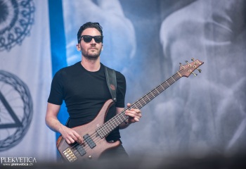 Cellar Darling - Photo by Marc