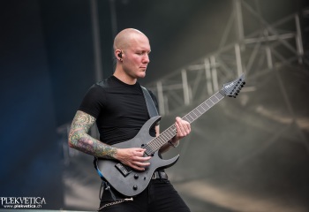 Cellar Darling - Photo by Marc