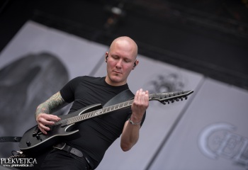 Cellar Darling - Photo by Marc