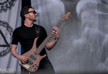 Cellar Darling - Photo by Marc