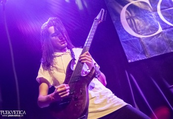 Copia - Photo By Dänu