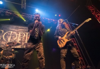 Copia - Photo By Dänu