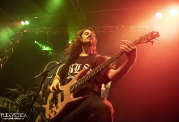 Copia - Photo By Dänu