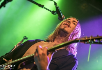 Creeper - Photo By Dänu