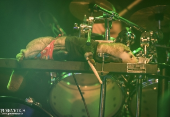 Creeper - Photo By Dänu