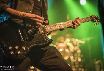 Creeper - Photo By Dänu