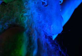 Dee Snider -  Photo By Peti