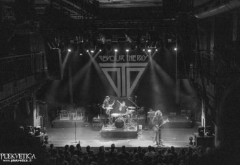 Devour the day - Photo by Roli